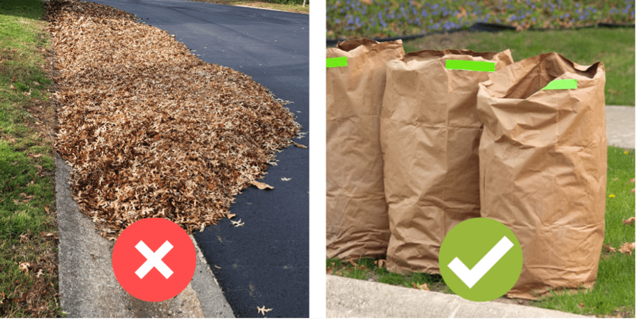 Yard Waste & Leaf Collection